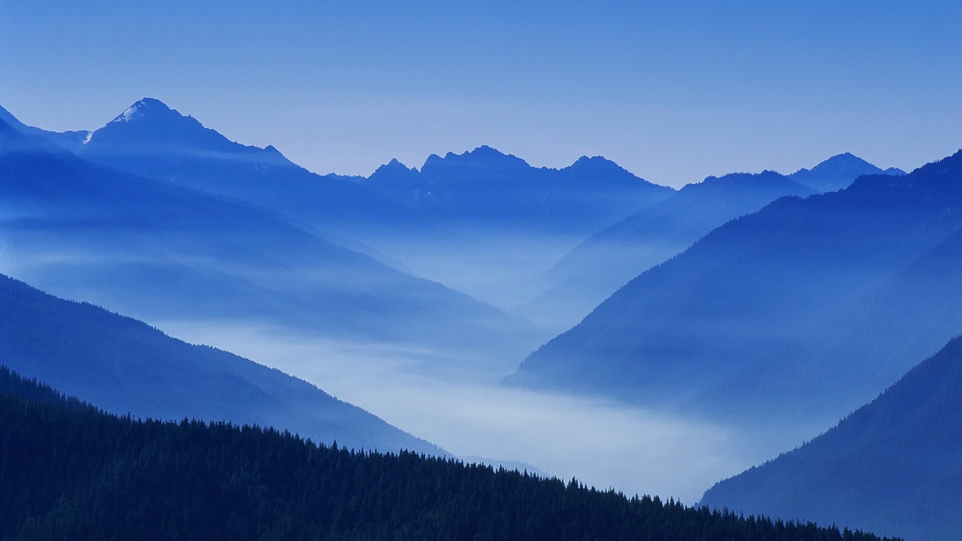 世界乒乓球团体赛:战术变化影响对局走势,世界乒乓球联赛