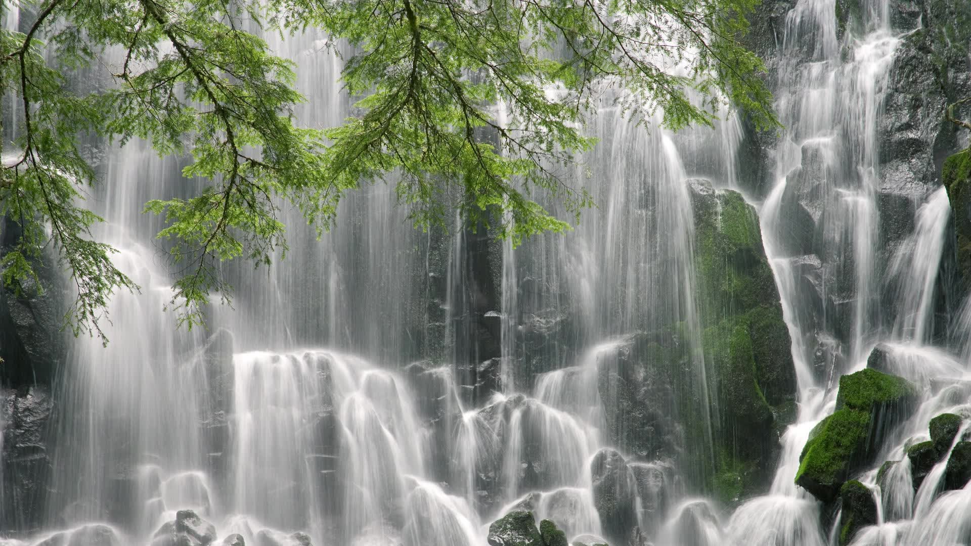 世界篮球俱乐部国际交流赛赛程出炉，世界篮球联赛